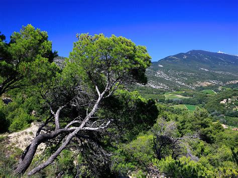 France Provence Vaucluse Mont License Image 70363243 Lookphotos