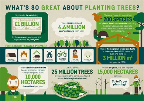 Planting Trees Infographic Charlotte Coles Medium