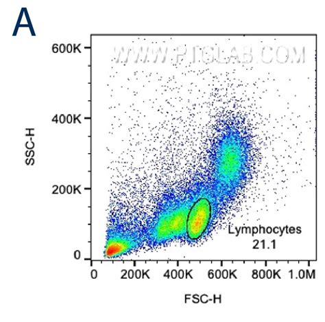 Flow Cytometry Gating For Beginners Proteintech Group