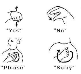 The purpose of this video is to teach and. yes, no, please, sorry | Sign language words, Sign ...