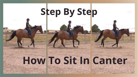 How To Sit The Canter Using Your Seat Horse Riding Tips English