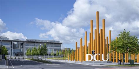 Dcu Research Highlights Strong Link Between Self Management Skills And