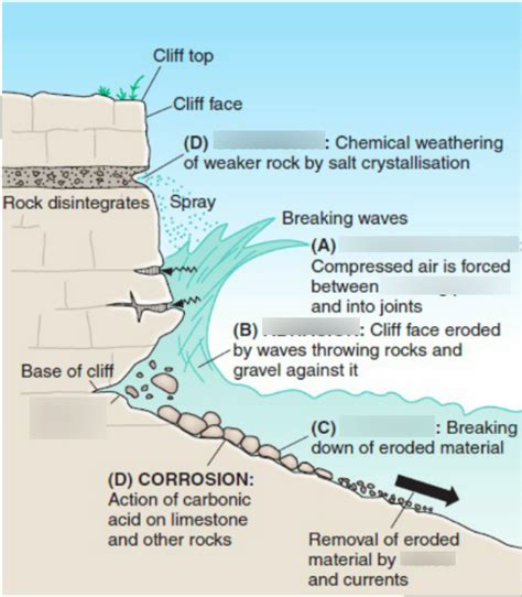 Higher Geography Coasts Formation Of Wave Cut Platform Higher
