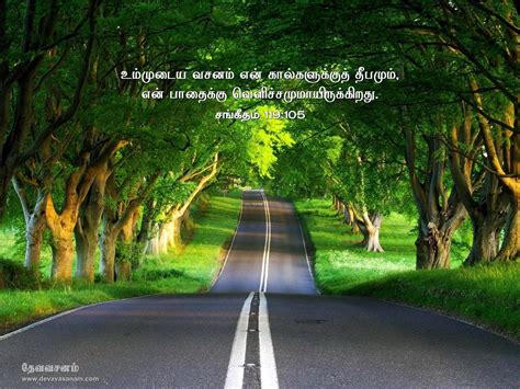 Download Bible Quotes Tamil Verse Wallpaper Mobile By Cshannon Inspirational Bible Verses