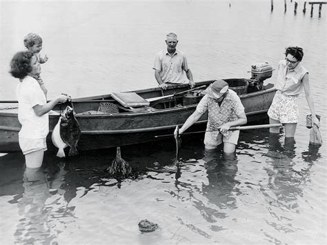 Mobile Bay in Southern Alabama Has A Seafood Secret | Alabama