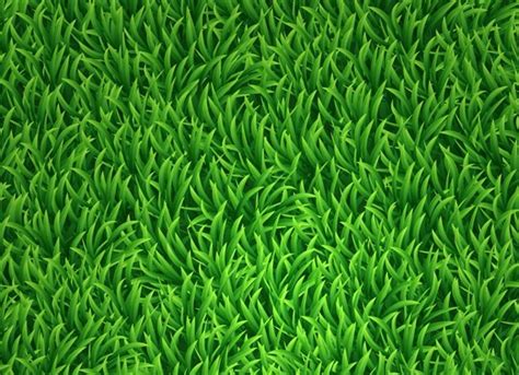 Free Vector Green Grass Background 01 Titanui
