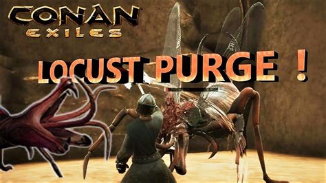 This method was not tested on the server, so server admins please use this commands with caution. THE LOCUST PURGE! | Conan Exiles - YouTube