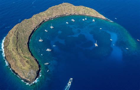 The 1 Best Molokini Crater Guide Updated 2023 Lets Go To Maui