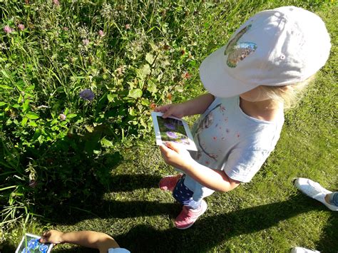 Bei lidl, deichmann, a.t.u auto teile unger. Haus für Kinder - Montessori-Schule Landau an der Isar