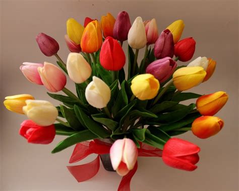 Top 116 Imagenes De Tulipanes De Colores Destinomexicomx