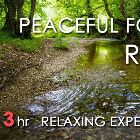Stream Relaxing River Sounds Peaceful Forest River 3 Hours Sleep Or