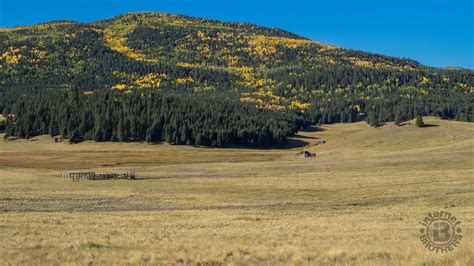 Meanderthals Trail 12 At Valles Caldera National Preserve New Mexico