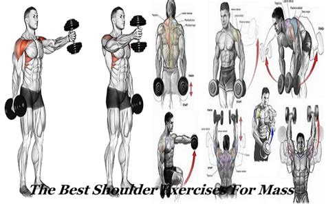 The Best Shoulder Exercises For Mass
