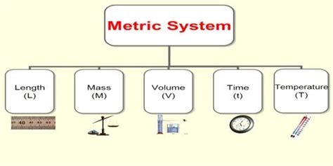 Comparing Metric System Masses Volumes And Lengths Assignment Point