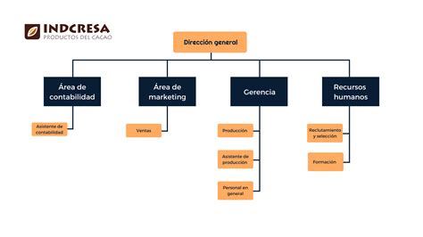 Organigrama De Una Empresa Claves Para Crearlo En Tu Organización