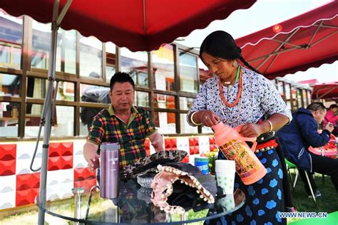 Local Tibetan Agritainment Tourism Attracts Tourists Xinhua English