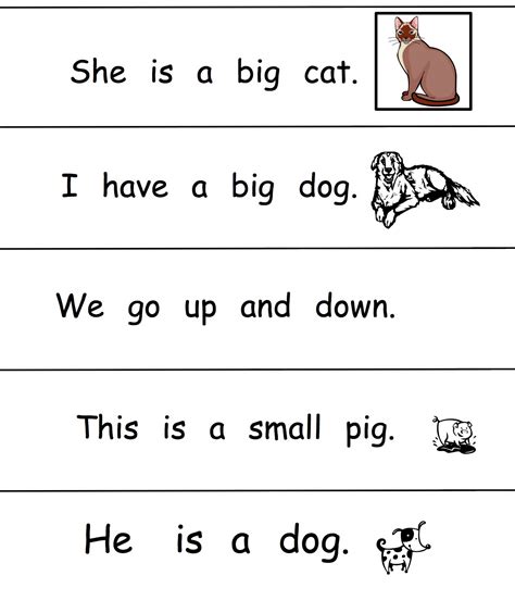 Kindergarten Sight Word Sentences Worksheet