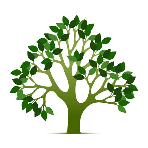 Tree Of Life Clipart 20 Free Cliparts Download Images On Clipground 2024