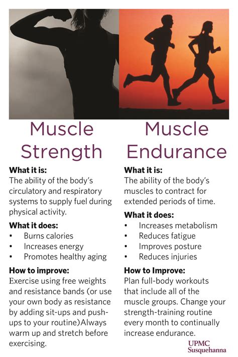 List Of Difference Between Cardiovascular Fitness And Muscular Strength