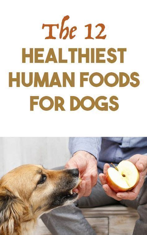 12 Healthy Human Foods Dogs Can Eat Human Food For Dogs Foods Dogs