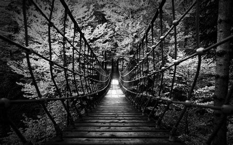 Monochrome Black White Bw Landscapes Nature Wood Rope Scary Bridges