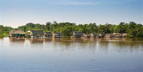 How Do Indigenous Tribes Live In The Amazon Rainforest Rainforest