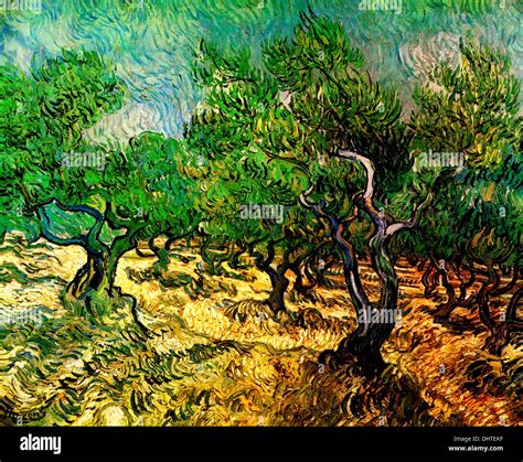 Olive Grove By Vincent Van Gogh 1889 Stock Photo Alamy