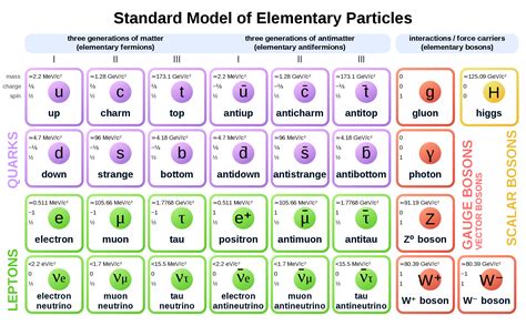 The particle content of the Standard Model of Physics | Elementary particle, Physics, Physics ...