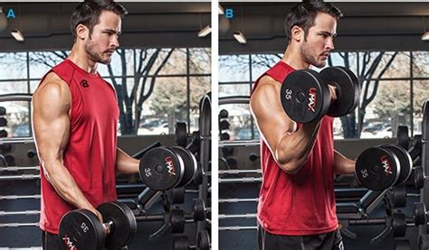 3 Bicep Curl Variations To Kickstart Muscle Growth