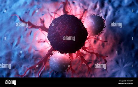 Illustration Of White Blood Cells Attacking A Cancer Cell Stock Photo
