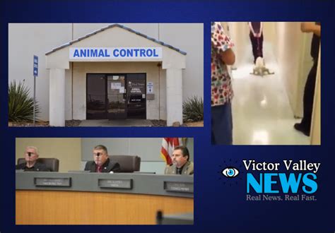 Amid the pandemic that is sweeping the globe, gallery director gabriele finaldi has taken the unprecedented step of closing gallery doors, uncertain as to. Hesperia Animal Shelter: Behind Closed Doors (WARNING ...