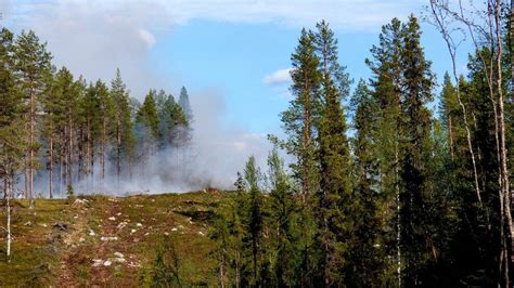 Angående #skogsbrand så gick msb idag ut med att information om eldningsförbud ska ges ut på tjugofem (25!) språk. Stor skogsbrand i Dorotea | SVT Nyheter