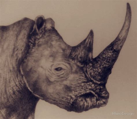 Rhino Pencil Drawing At Getdrawings Free Download