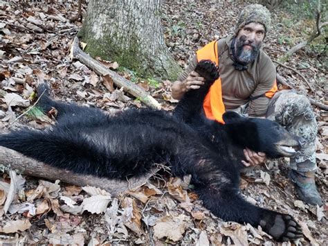 Georgia Bear Hunting Georgia Outdoor News