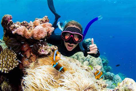 Is It Better To Snorkel From Airlie Beach Or Cairns Desertdivers