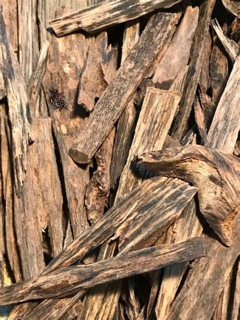 These agarwood tree not only make your decor seem aesthetically appealing but also give you a feeling of. Pinoy - SINKING Filipino Agarwood Chips - Philippines ...