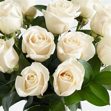 10 Long Stemmed White Roses White Roses Delivery Pakistan Proflowerspk