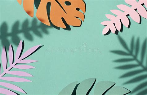 Paper Tropical Palm Leaves On The Pastel Green Background Summer