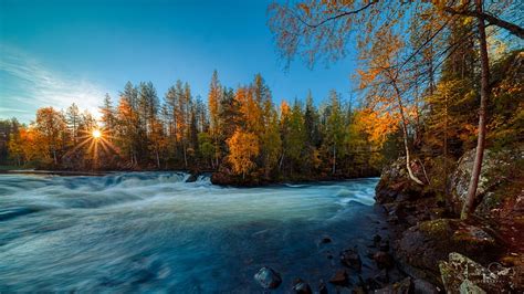 Kitkajoki River Kuusamo Finland Leaves Colors Landscape Trees