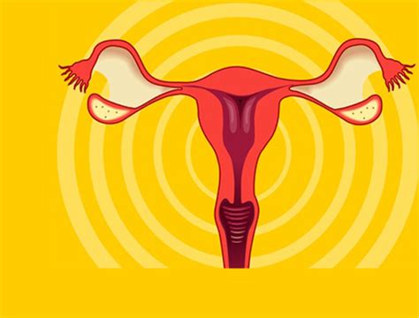 Scientists Find Ovarian Cancer Cells Barge Through Mesothelium To