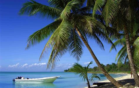 Wallpaper Beach Palm Trees The Ocean Boats For Mobile And Desktop