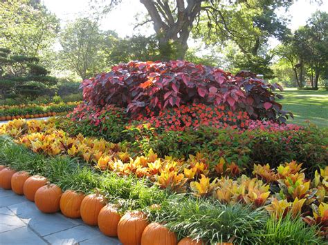 Fall Flowers For Garden Fall And Winter Flower Beds Landscape