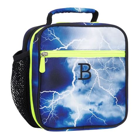Storm Classic Lunch Box For Teens Pottery Barn Teen
