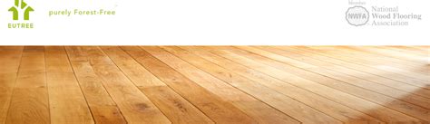 Wooden Floor Png Transparent With These Floor Png Images You Can