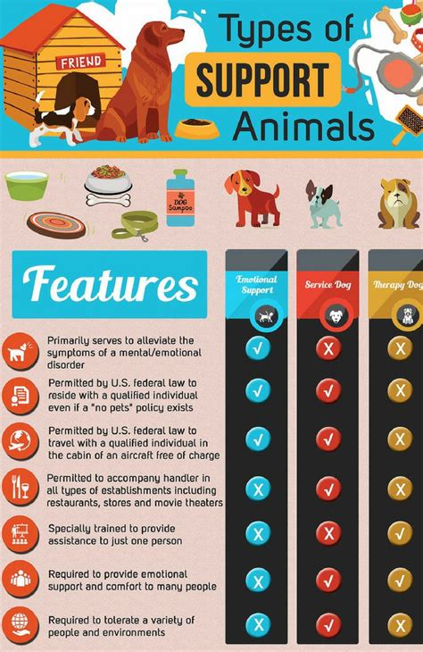 Size is just right, velcro is firmly attached, and the material is fairly easy to clean. Types of Support Animals! #pets #infographic #animals # ...