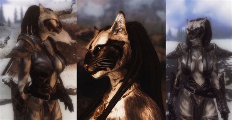 Siamese Female Khajiit Follower Meeran The Black Hearted At Skyrim