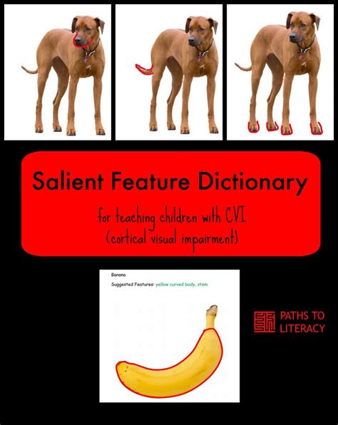 Salient Features Dictionary Paths To Literacy