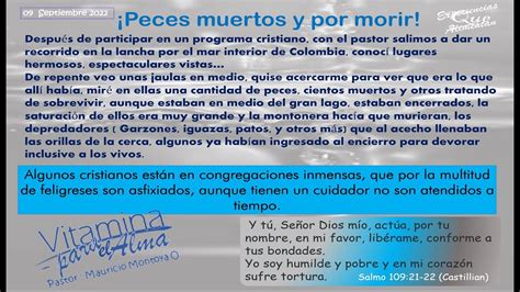 Peces Muertos Y Por Morir By Mauricio Montoya Ossa Youtube