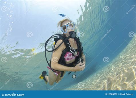 Adult Female Scuba Diver In Bikini Stock Photo Image Of Gravity