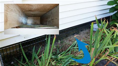 Cowleys Pest Services Before After Photo Set Dig Defense Will Keep Wildlife From Entering